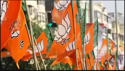 Precursor to 2027 Assembly Elections: BJP Sweeps Local Body Elections in Gujarat
