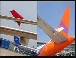 SpiceJet Plane Hits Stationary Akasa Aircraft at Delhi Airport