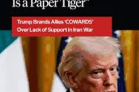 Screenshot 2026-04-01 180043