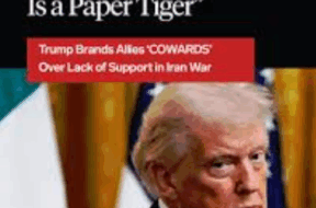 Screenshot 2026-04-01 180043