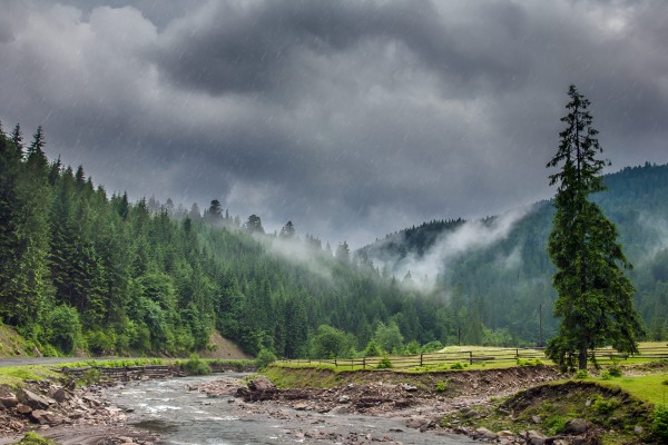 Rising heatwave drives tourists to Shimla; locals anticipate strong business