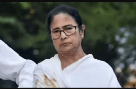 06 mamata