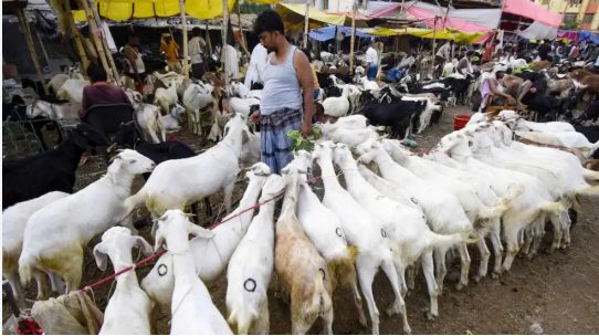 Clash over Stocking Sacrificial Goats in a Housing Society in Mira Road