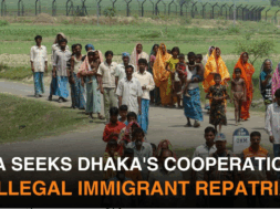 42 immigrants