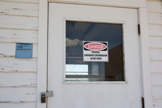 Hantavirus Danger