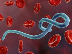 Ebola virus