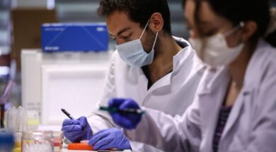 Hidden Molecular Switch