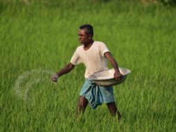 India Agriculture
