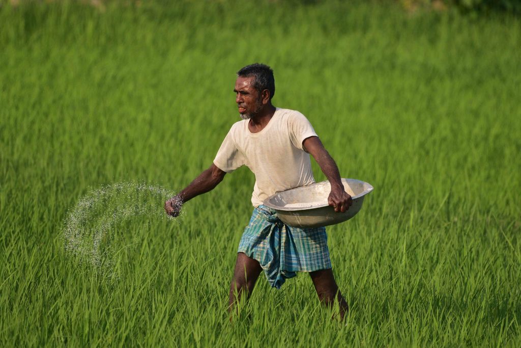 Cabinet approves higher MSP for 14 Kharif crops for 2026-27 marketing season