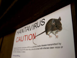 Hantavirus