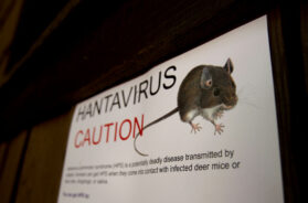 Hantavirus