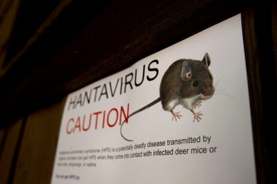 Hantavirus
