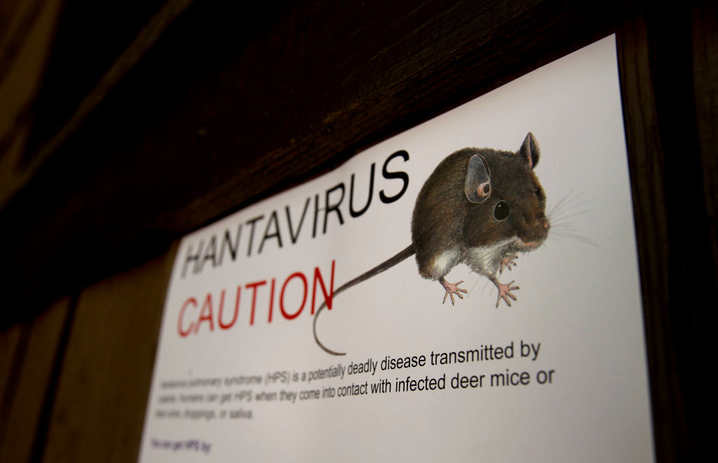 How an ocean cruise turned into a hantavirus nightmare