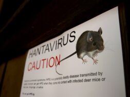 Hantavirus