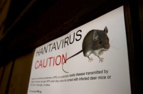Hantavirus