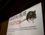 Hantavirus
