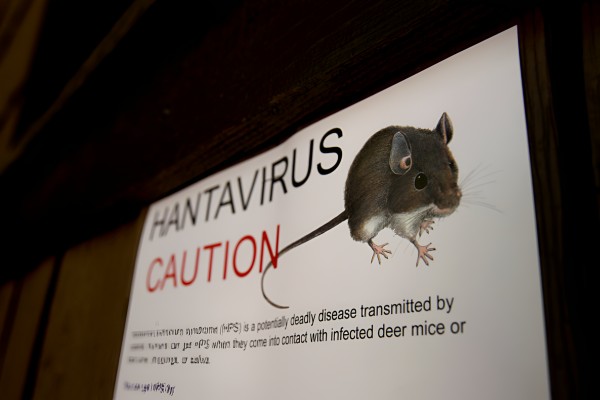 What is the hantavirus that killed three cruise ship passengers?