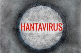 Hantavirus