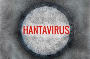 Hantavirus