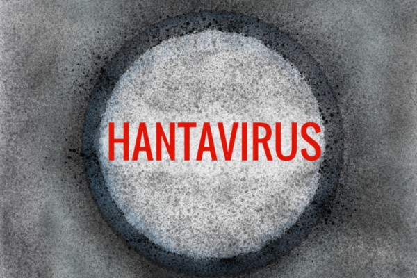 WHO says risk to public is low after suspected hantavirus outbreak hits ship