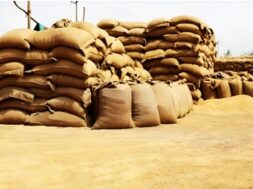 No wheat glut in Punjab mandis