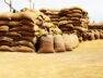 No wheat glut in Punjab mandis