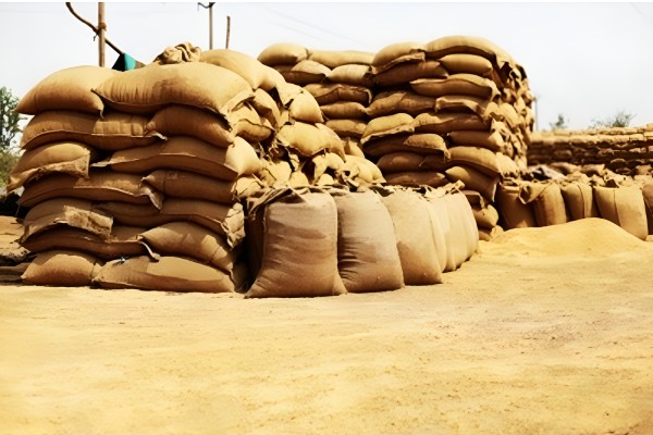 No wheat glut in Punjab mandis, procurement and lifting better than last year: Centre