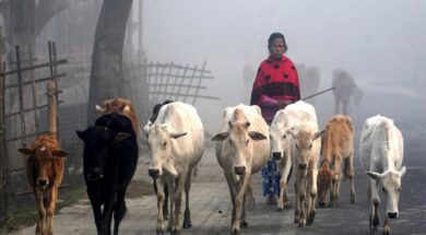 West bengal