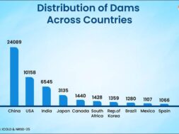 Dam Safety Network
