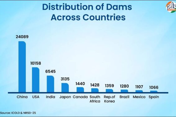 Dam Safety Network