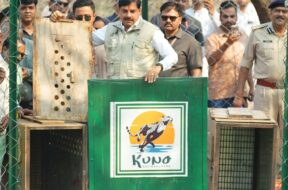 mp CM