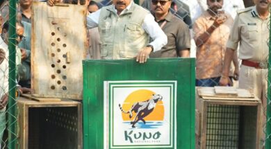 mp CM