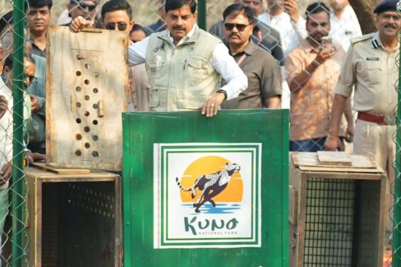 mp CM