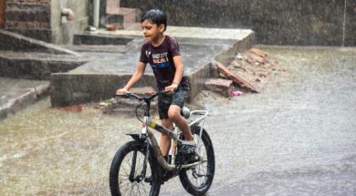 rajasthan rain