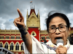 01 mamata