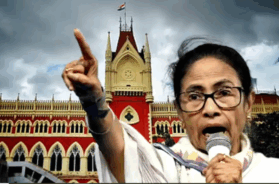 01 mamata