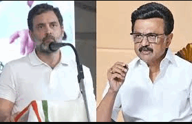 02 rahul