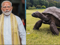 40 modi