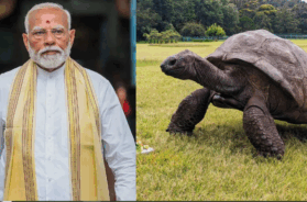 40 modi