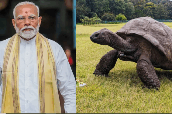 40 modi
