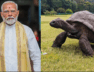40 modi