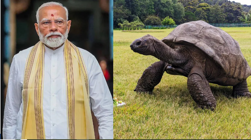 Modi Meets the Oldest Living Land Animal in the World