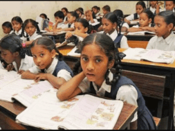 43 cbse