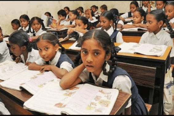 43 cbse