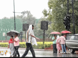 44 monsoon