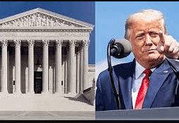 48 trump