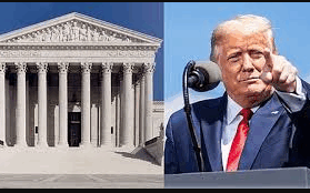 48 trump