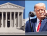 48 trump