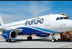54 indigo