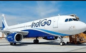 54 indigo